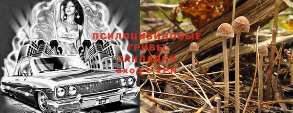соль ск Балабаново