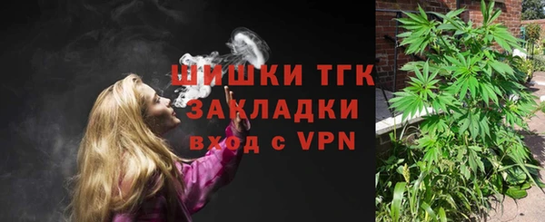 ПСИЛОЦИБИНОВЫЕ ГРИБЫ Балахна